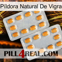 Píldora Natural De Vigra cialis4